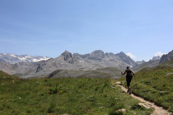 A lone hiker walks along a winding dirt path through a vibrant green meadow, equipped with trekking poles and a backpack